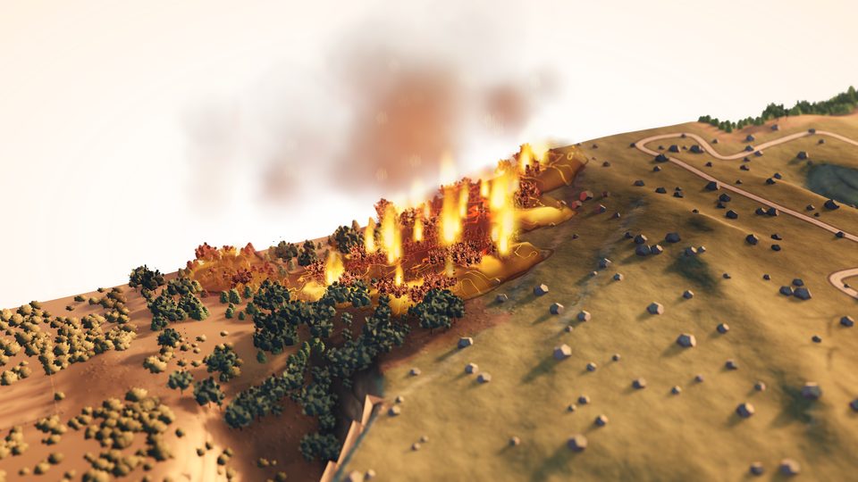Sierra de las Nieves: fire among the pinsapos
